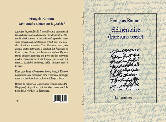 [Entretien] Déplacements poétiques de François Rannou, entretien avec Fabrice Thumerel