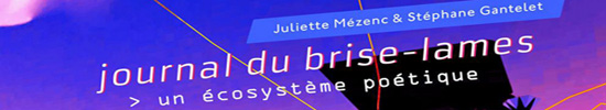 [Chronique] Juliette Mézenc, Journal du brise-lames, par Ahmed Slama